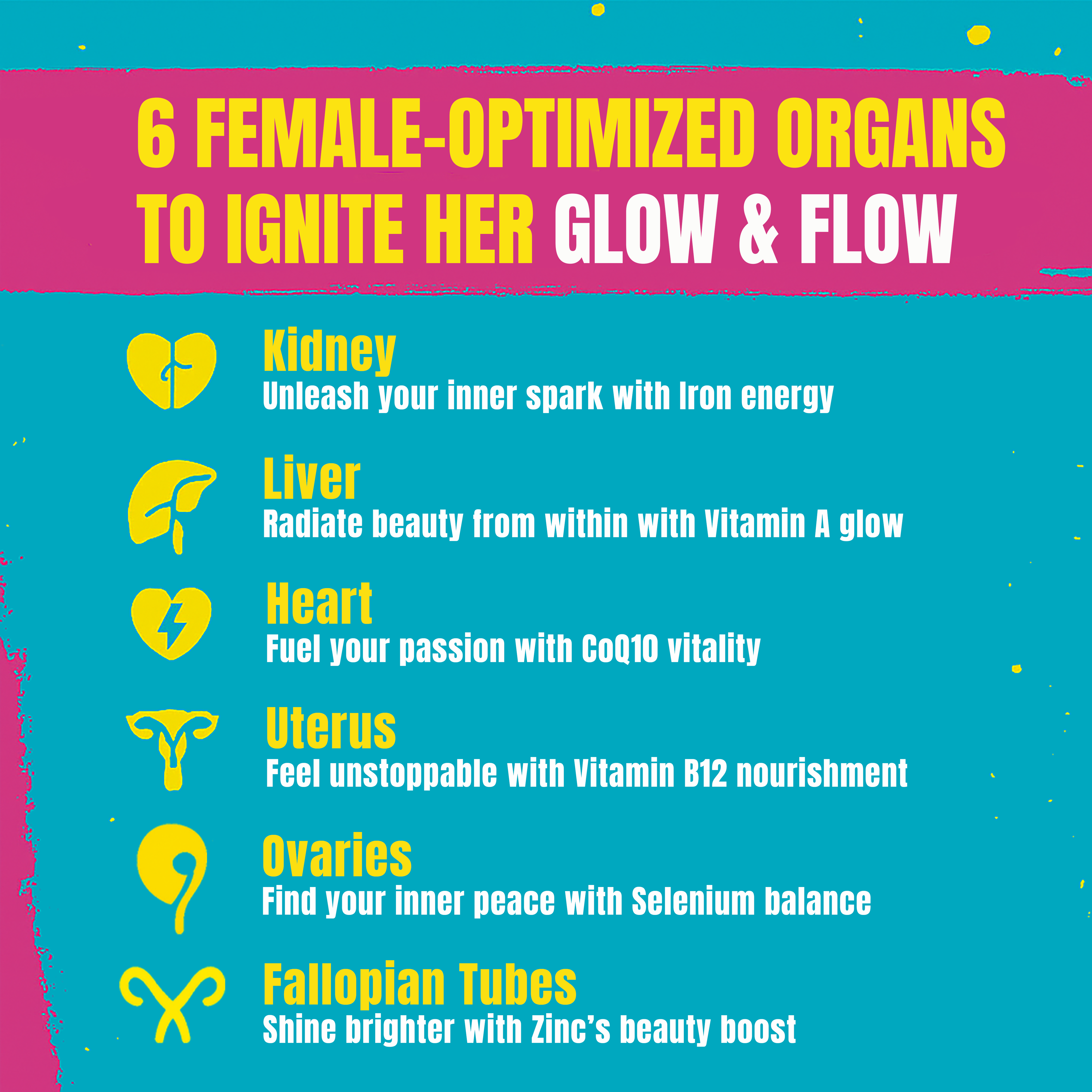 Beef Organ Supplement for Women – 100% Grass Fed Beef Liver, Kidney, Heart & Reproductive Organs – Primal Energy, Immunity, Hormone Balance & Wellness – BLOOM BABE Queen of Superfoods – 120 Capsules