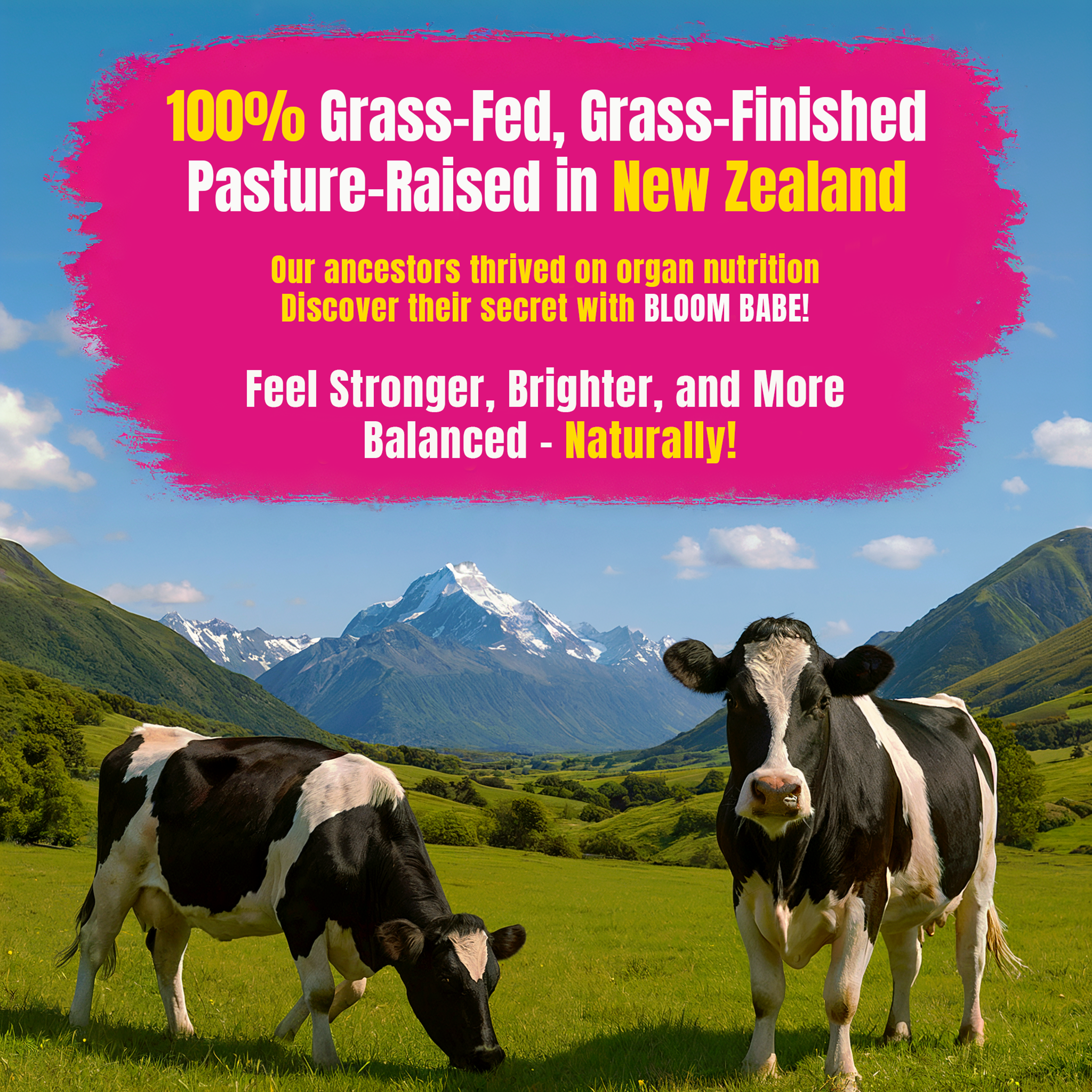 Beef Organ Supplement for Women – 100% Grass Fed Beef Liver, Kidney, Heart & Reproductive Organs – Primal Energy, Immunity, Hormone Balance & Wellness – BLOOM BABE Queen of Superfoods – 120 Capsules