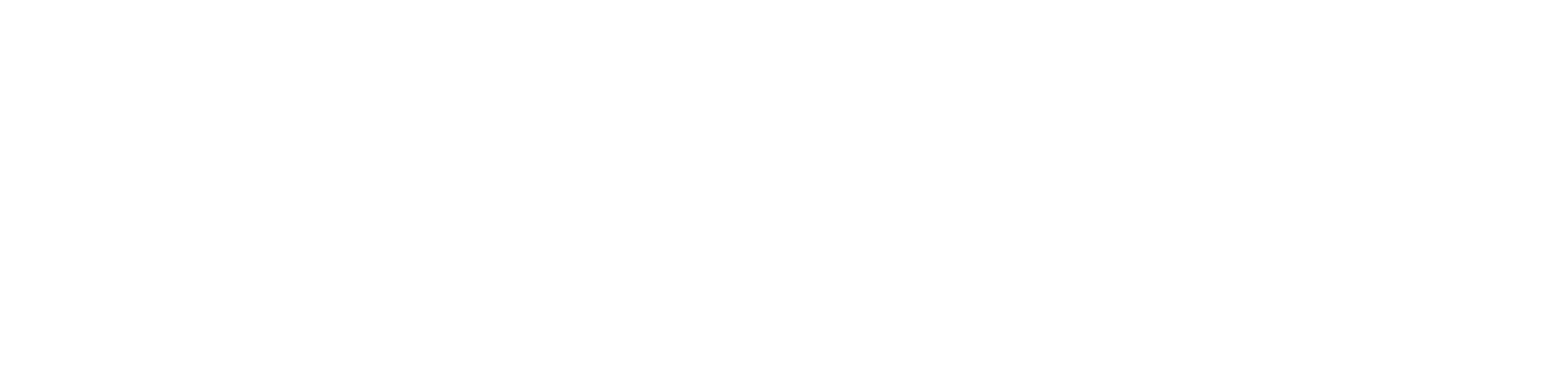 Bloomeo Inc 